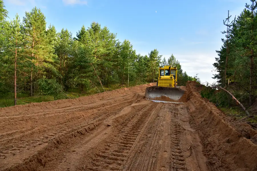 How Professional Land Clearing Can Improve Your Property Value in Burlington, NC