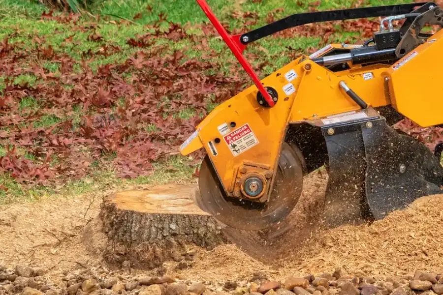 Local Stump Grinding Burlington, NC