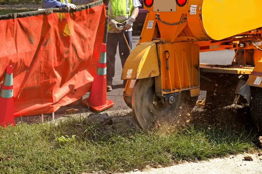 Premium Stump Grinding Burlington, NC
