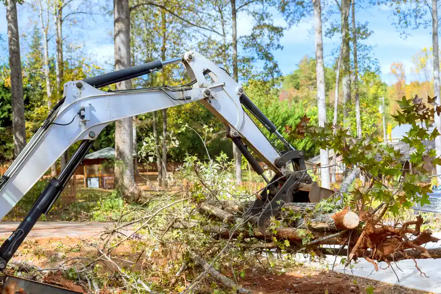 Professional Land Clearing Burlington, NC